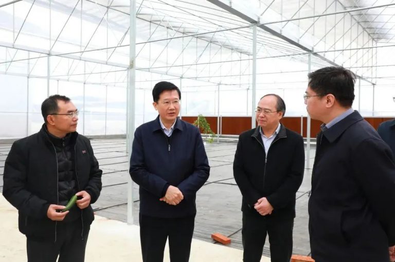 来宾市市委书记何朝建率队到新三智慧农业小平阳产业示范基地开展工作调研